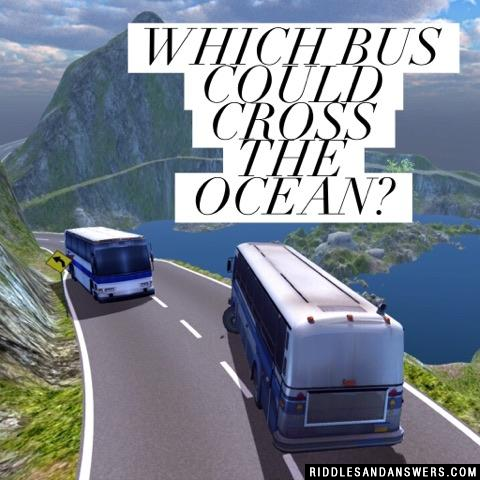 哪辆公共汽车可以穿越海洋?