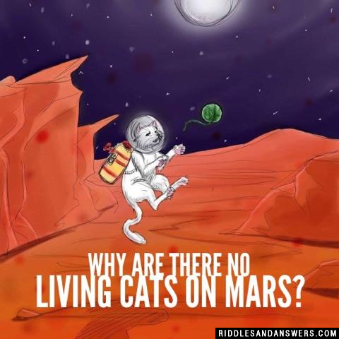 为什么没有猫在火星上的生活?