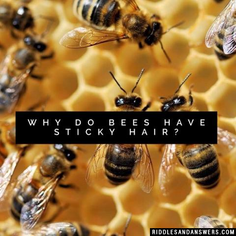 为什么蜜蜂有粘性的头发?