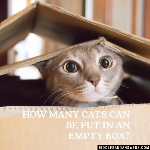 有多少猫可以放在一个空的箱子吗?