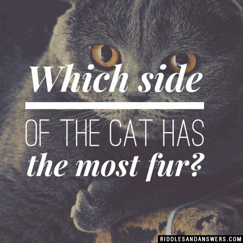 猫有最皮毛的哪一边?