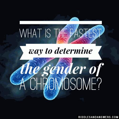 确定染色体性别的最快方法是什么?