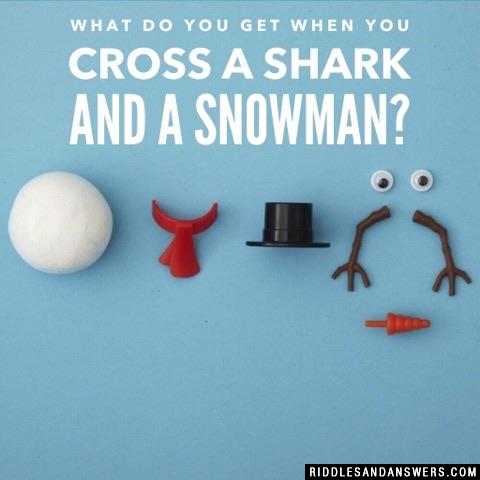 把鲨鱼和雪人混在一起会得到什么?
