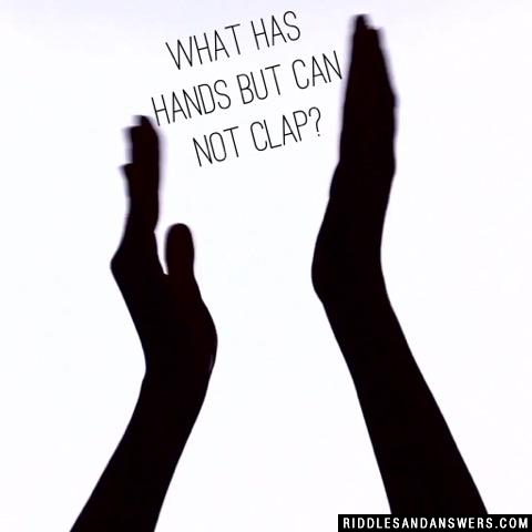 什么东西有手但不能拍?