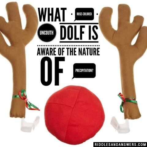 什么乐观的笨拙的dolf知道降水的本质?