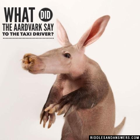 aardvark对出租车司机说了什么?