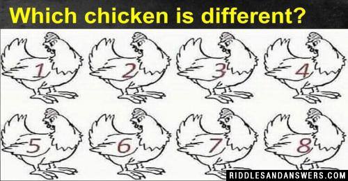 鸡肉是不同的?